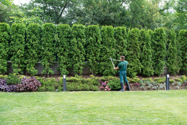 Best Soil Testing and Treatment  in Hillsborough, CA