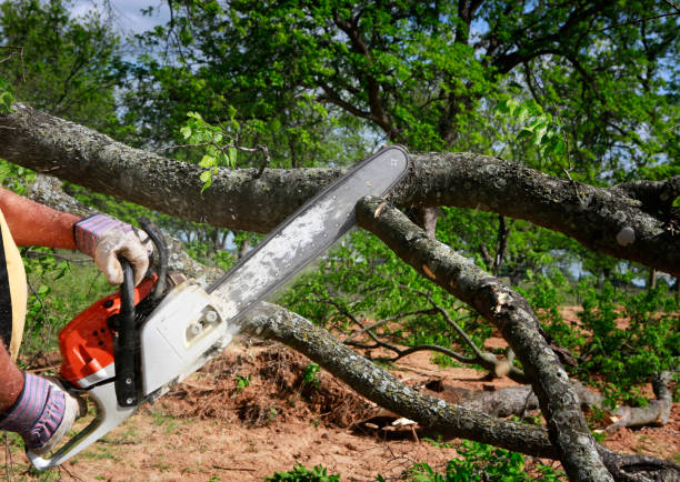 Best Soil Testing and Treatment  in Hillsborough, CA